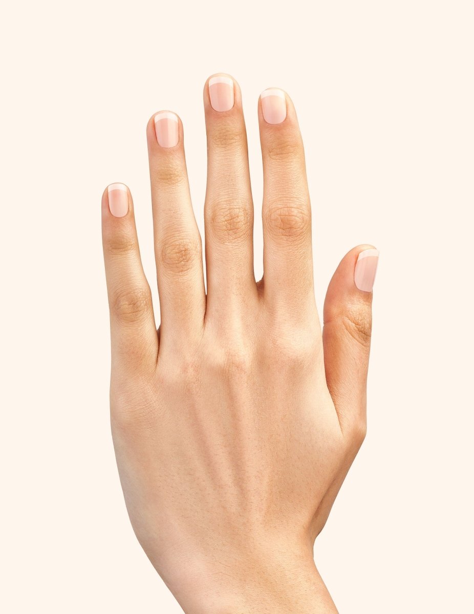 Gel Nail Strips - French - Gel Nail Strips